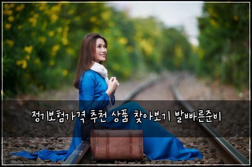 ์ ๊ธฐ๋ณดํ๊ฐ๊ฒฉ ์ถ์ฒ ์ํ ์ฐพ์๋ณด๊ธฐ ๋ฐ๋น ๋ฅธ์ค๋น