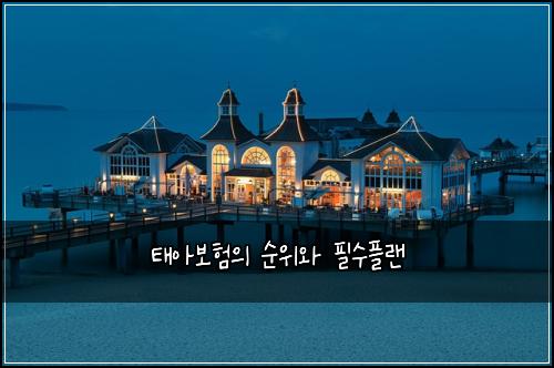 태아보험의 순위와 필수플랜
