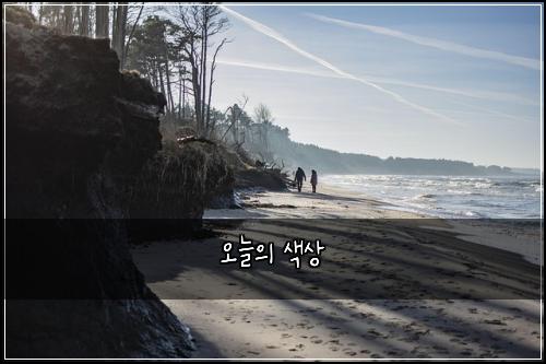 오늘의 색상