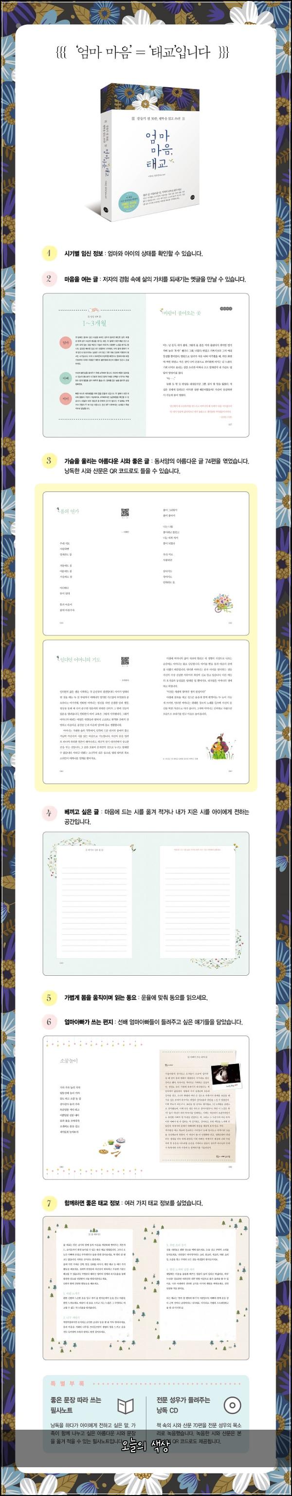 오늘의 색상