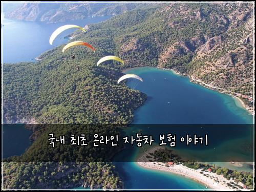 국내 최초 온라인 자동차 보험 이야기