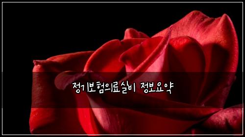 정기보험의료실비 정보요약
