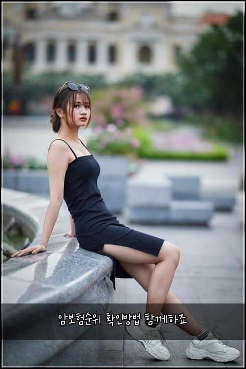 암보험순위 확인방법 함께하죠