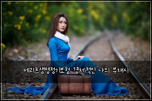 ๋ฉ๋ฆฌ์ธ ์๋ช
์ ๊ธฐ๋ณดํ ๊ฒฝ์ ์ ์ธ ๋์ ๋ถ์ฌ์