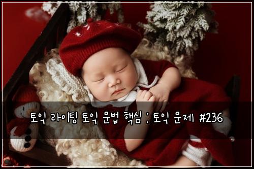 토익 라이팅 토익 문법 핵심 : 토익 문제 #236