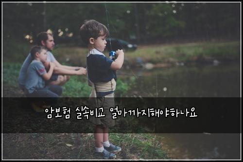 ์๋ณดํ ์ค์๋น๊ต ์ผ๋ง๊น์งํด์ผํ๋์