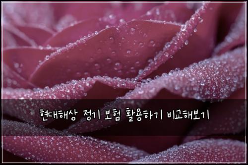 ํ๋ํด์ ์ ๊ธฐ ๋ณดํ ํ์ฉํ๊ธฐ ๋น๊ตํด๋ณด๊ธฐ