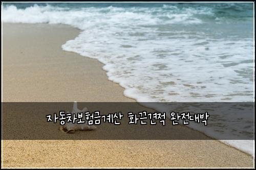 자동차보험금계산 화끈견적 완전대박