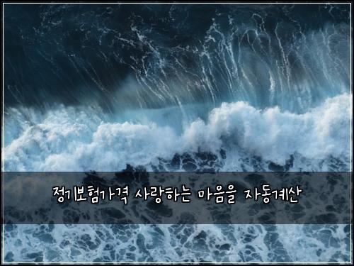 정기보험가격 사랑하는 마음을 자동계산