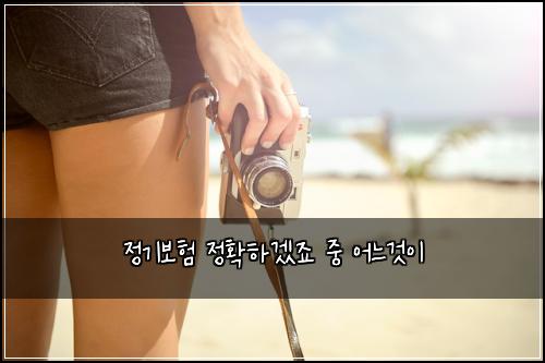 ์ ๊ธฐ๋ณดํ ์ ํํ๊ฒ ์ฃ ์ค ์ด๋๊ฒ์ด