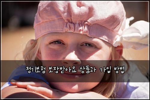 정기보험 보장받아요  상품과 가입 방법
