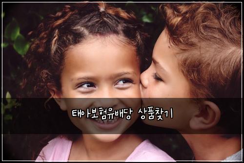 ํ์๋ณดํ์ ๋ฐฐ๋น ์ํ์ฐพ๊ธฐ