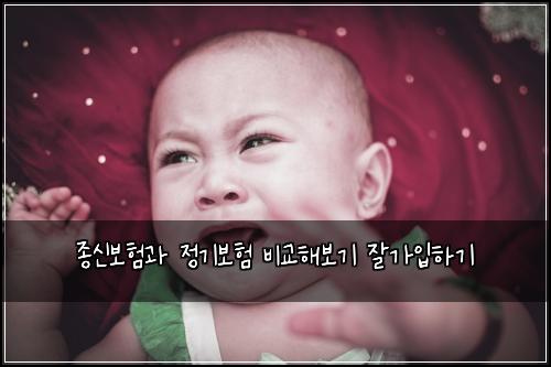 종신보험과 정기보험 비교해보기 잘가입하기
