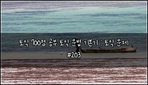 토익 700점 공부 토익 문법 기본기 : 토익 문제 #203