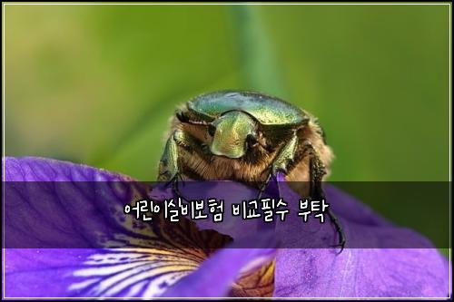어린이실비보험 비교필수  부탁