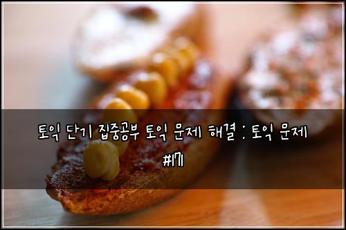 토익 단기 집중공부 토익 문제 해결 : 토익 문제 #171