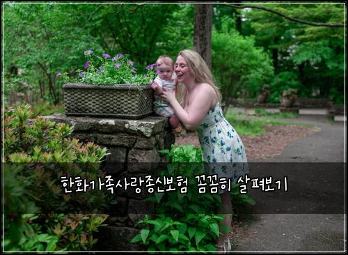 한화가족사랑종신보험 꼼꼼히 살펴보기