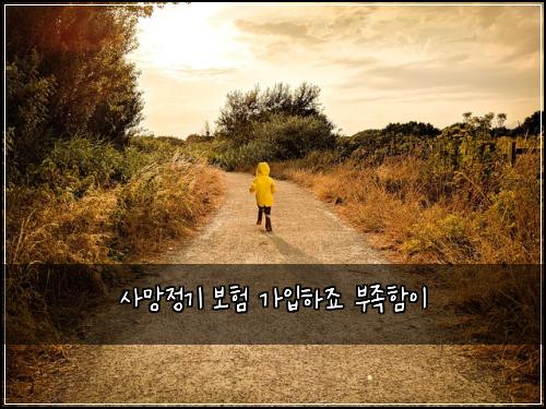 ์ฌ๋ง์ ๊ธฐ ๋ณดํ ๊ฐ์
ํ์ฃ ๋ถ์กฑํจ์ด