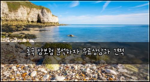 ν₯κ΅ μ보ν λΆμνμ 무λ£μλ΄κ³Ό 견μ 