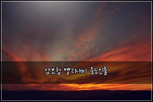 암보험 빨리대비  중도인출