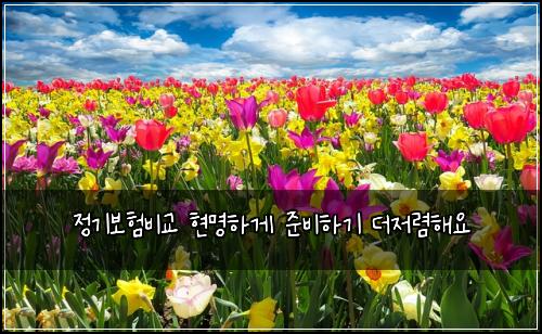 ์ ๊ธฐ๋ณดํ๋น๊ต ํ๋ช
ํ๊ฒ ์ค๋นํ๊ธฐ ๋์ ๋ ดํด์