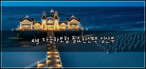 aig 자동차보험 필요한선택  임산부