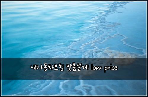 내자동차보험 맞춤설계  low price