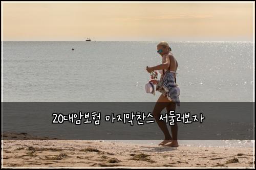 20๋์๋ณดํ ๋ง์ง๋ง์ฐฌ์ค ์๋๋ฌ๋ณด์
