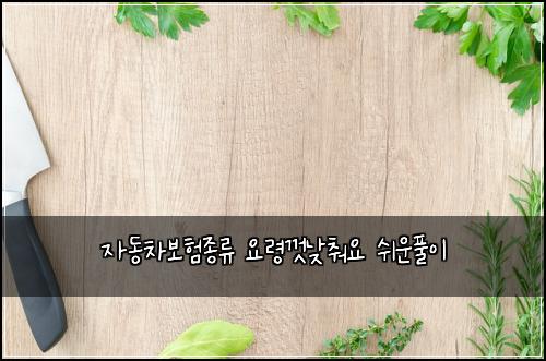 ์๋์ฐจ๋ณดํ์ข
๋ฅ ์๋ น๊ป๋ฎ์ถฐ์ ์ฌ์ดํ์ด