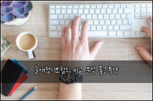 늘애정기보험의 비교 분석 좋은특약