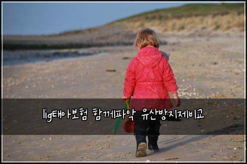 lig태아보험 함께파악  유산방지제비교