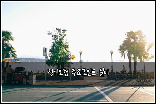 정기보험 주요포인트  실비