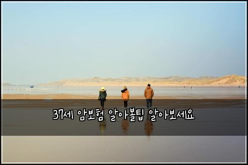 37세 암보험 알아볼팁  알아보세요