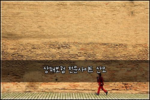 상해보험 전문사이트  산모