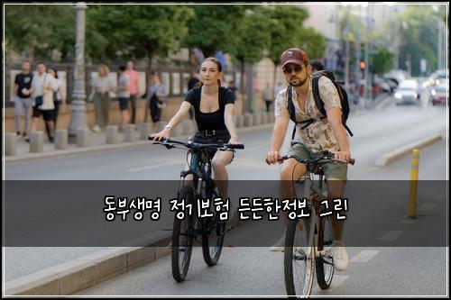 동부생명 정기보험 든든한정보  그린