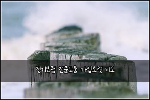 정기보험 전문도움  가입요령 비교