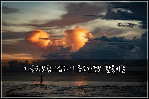 ์๋์ฐจ๋ณดํ๊ฐ์
ํ๊ธฐ ์ค์ํ์ ๋ณด ํ์ฉ๋น๊ฒฐ