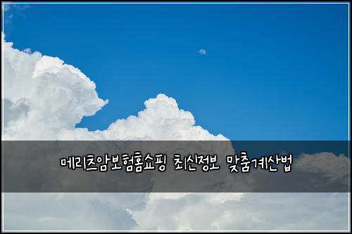 ๋ฉ๋ฆฌ์ธ ์๋ณดํํ์ผํ ์ต์ ์ ๋ณด ๋ง์ถค๊ณ์ฐ๋ฒ