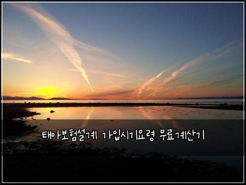 ํ์๋ณดํ์ค๊ณ ๊ฐ์
์๊ธฐ์๋ น ๋ฌด๋ฃ๊ณ์ฐ๊ธฐ