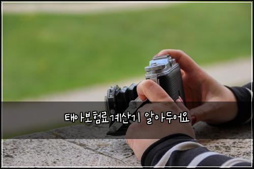 태아보험료계산기 알아두어요