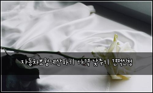 ์๋์ฐจ๋ณดํ๊ณ์ฐํ๊ธฐ ๊ฐ๊ฒฉ ๋ฎ์ฃผ๊ธฐ ๊ฒฌ์ ์ ์ฒญ