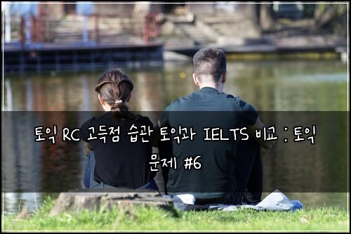 토익 RC 고득점 습관 토익과 IELTS 비교 : 토익 문제 #6