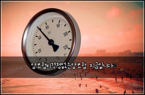 ์๋ณดํ๋น๊ฑฑ์ ์๋์๋ณดํ ์ง๊ธ์
๋๋ค