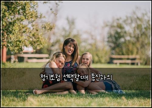 정기보험 선택할때  종신과의