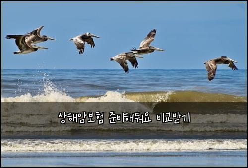 상해암보험 준비해둬요  비교받기