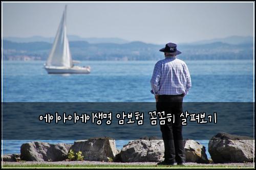 에이아이에이생명 암보험 꼼꼼히 살펴보기
