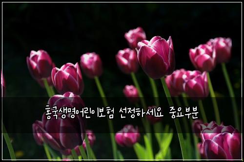 홍국생명어린이보험 선정하세요  중요부분