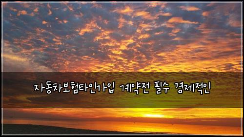 ์๋์ฐจ๋ณดํํ์ธ๊ฐ์
๊ณ์ฝ์ ํ์ ๊ฒฝ์ ์ ์ธ