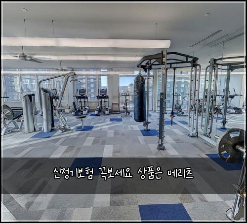 신정기보험 꼭보세요  상품은 메리츠