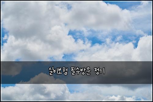 실비보험 필수방문  정기